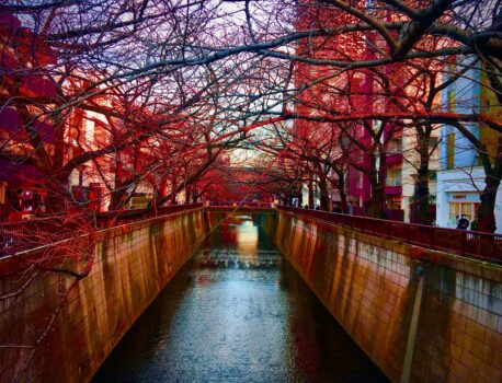 基本情報技術者試験の科目A免除試験を受けた話