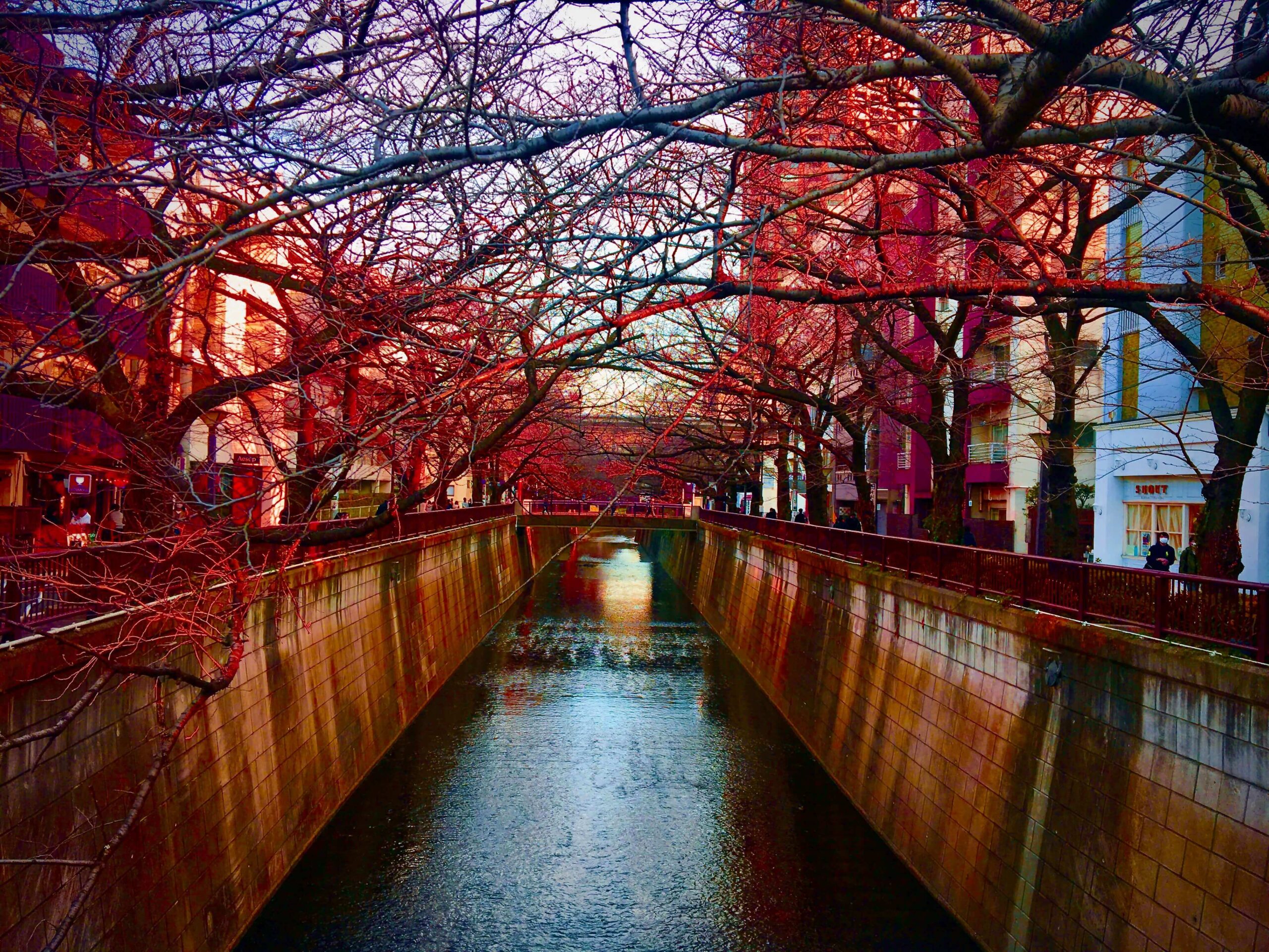 基本情報技術者試験の科目A免除試験を受けた話